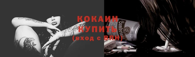 крисы Наволоки