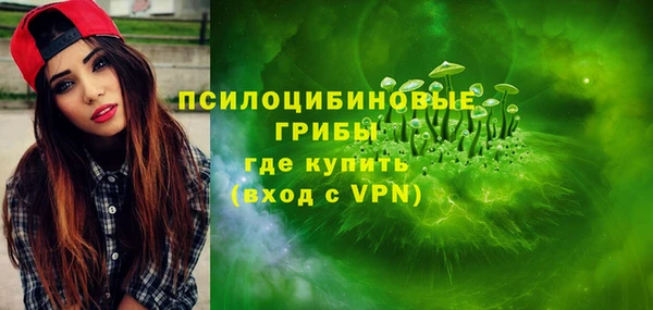 крисы Наволоки
