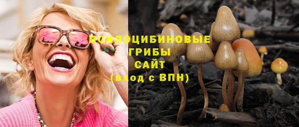 синтетический гашиш Надым